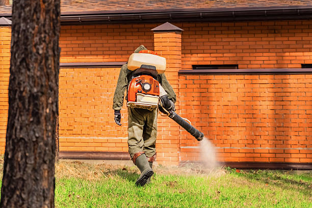 Trusted Cockroach Control service in Sierra Vista, AZ - Nex Pest Control